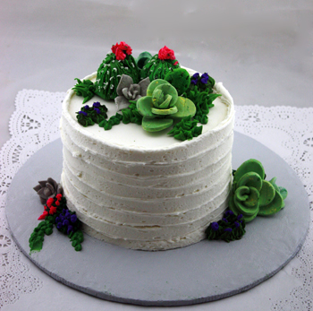 Rustic Cactus & Succulent Birthday Cake Sedona Cakes