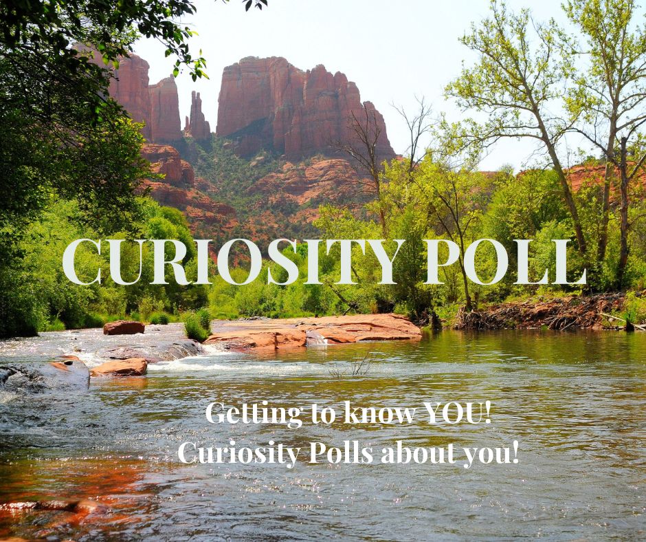 Curiosity Poll: Community areas of interest