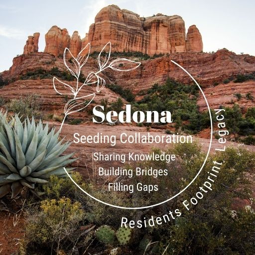 Collaboration-Network-Seeding-sharing-Building sized