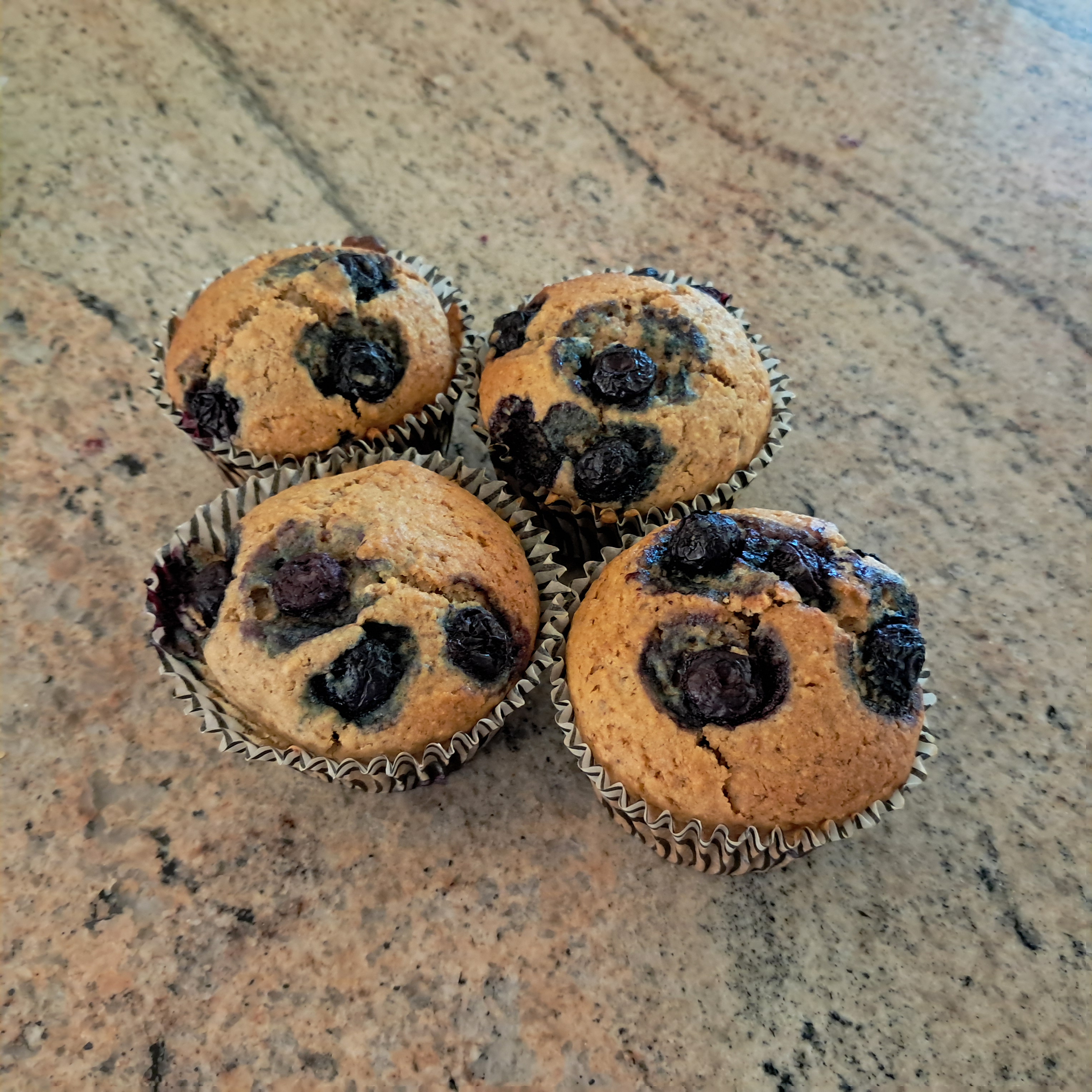 Oat Bran Blueberry Muffins Vegan, Dairy Free Recipe