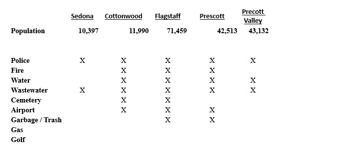 Benchmark Comparison Municipalities Services home Rule 