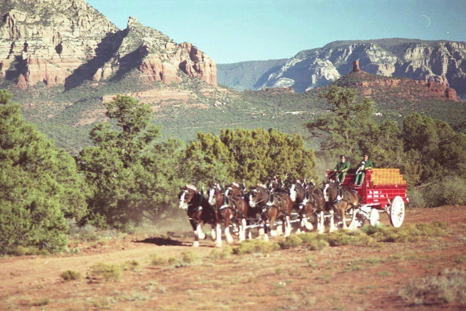 The first annual St. Patrick's Day Parade was held in Sedona on March 17, 1970. Parade entries over time have included many dignitaries, including state governors and senators, the actress Jane Russell, and even the Budweiser Clydesdales were here.